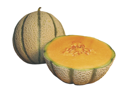 BOHEME - Varietà di melone particolarmente apprezzato per la croccantezza della polpa e per il suo elevato grado zuccherino. Grazie alla sua pezzatura (da 1,5 a 2 Kg) e al suo elevato 